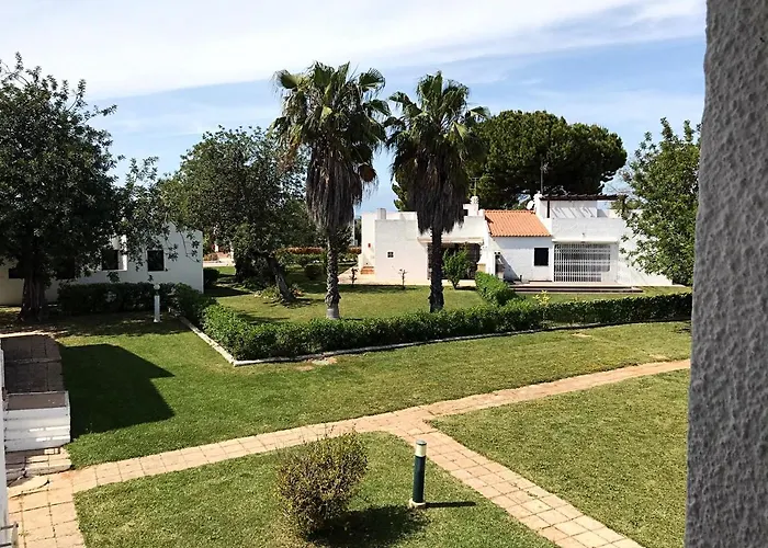 Oasis - Pedras D\' El Rei T0